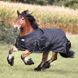 Produktbild von Kavalkade Fleece-Pferdedecke für Kaltblut in Schwarz
