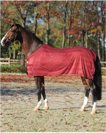 Kavalkade Fliegendecke Stripe aus Polyester in Blau und Rot – Bild 1 von 4