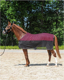 Kavalkade Fly'n Fleece Transport- und Fliegendecke für Tiere in Schwarz 125cm – Bild 1 von 2