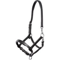 Produktbild von Kavalkade Fohlenhalfter aus Leder für Fohlen und Jährlinge in Schwarz und Braun