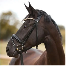 Kavalkade Fortuna Trense aus Leder schwedisch-kombiniert für Warmblut in Schwarz mit Gold – Bild 1 von 3