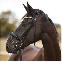 Produktbild von Kavalkade Fortuna Trense aus Leder schwedisch-kombiniert für Warmblut in Schwarz mit Gold