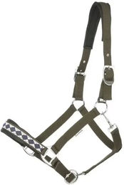 Kavalkade Halfter Classic aus Nylon in Grün für Vollblut – Bild 1 von 3