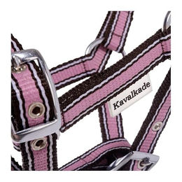 Kavalkade Halfter für Fohlen und Jährlinge aus Polyester in Rosa oder Blau – Bild 1 von 3