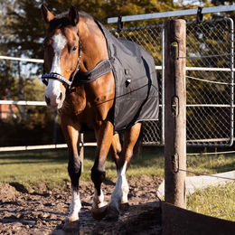 Kavalkade Halifax 2in1 Outdoor- und Führanlagendecke für Pferde aus Polyester 135cm – Bild 1 von 13