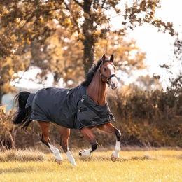 Produktbild von Kavalkade Halifax 2in1 Outdoor- und Führanlagendecke für Pferde aus Polyester Schwarz 155cm