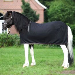 Kavalkade Island Ecoline Fleece-Abschwitzdecke für Pferde aus Polyester – Bild 1 von 2