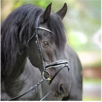 Produktbild von Kavalkade Juliana Trense mit englischem Reithalfter für Ponys aus Leder