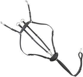 Produktbild von Kavalkade Leder Jagdhalsband und Vorderzeug Dekor für Warmblut Pferde in Schwarz oder Braun