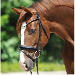 Kavalkade Leder Trense für Warmblut in Grau-Schwarz – Bild 1 von 2