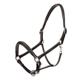 Produktbild von KAVALKADE Lederhalfter Charming für Ponys in Schwarz