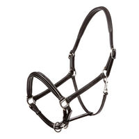 Produktbild von KAVALKADE Lederhalfter Charming für Ponys in Schwarz