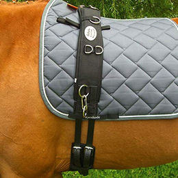 Produktbild von Kavalkade Longiergurt Klassik für Ponys aus Stoff in Schwarz und Grau