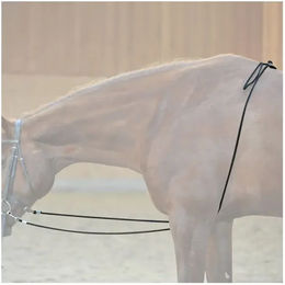 Kavalkade Longierzügel für Pferde aus Nylon in Schwarz – Bild 1 von 3