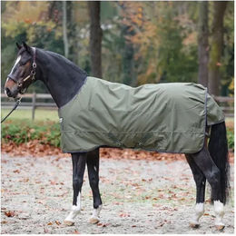 Kavalkade Montreal Outdoor-Decke für Pferde aus Polyester in Grün oder Beige – Bild 1 von 6