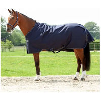 Produktbild von Kavalkade Montreal Outdoor-Winterdecke für Pferde Blau 155 cm