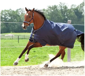 Kavalkade Outdoor-Decke Montreal aus Polyester mit 100g Füllung – Bild 1 von 3