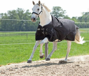 Kavalkade Outdoordecke Alaska IV 300g Schwarz 155cm aus Polyester – Bild 1 von 3