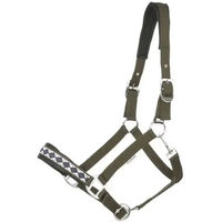 Produktbild von Kavalkade Perlon Classic Halfter für Warmblut in Grün