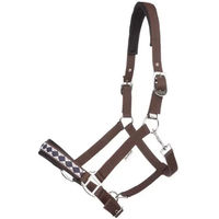 Produktbild von Kavalkade Perlon Halfter Classic Braun für Warmblut