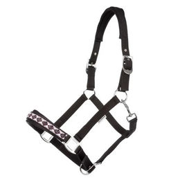Kavalkade Perlon-Halfter Classic für Warmblut Pferde in Braun oder Schwarz – Bild 1 von 5