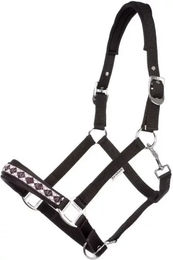 Kavalkade Perlon-Halfter Kaltblut Classic Schwarz – Bild 1 von 4