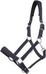 Kavalkade Pferd Halfter Classic Simple aus Perlon in Blau mit Silber – Bild 1 von 1