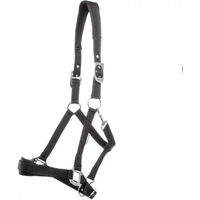 Produktbild von Kavalkade Pony Halfter Classic Simple aus Nylon in Schwarz mit Silber