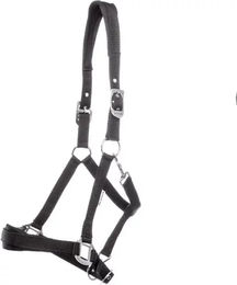 Kavalkade Pony Halfter Classic Simple aus Nylon in Schwarz und Silber – Bild 1 von 3