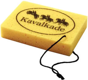 Kavalkade Schuhputzschwamm – Bild 1 von 1