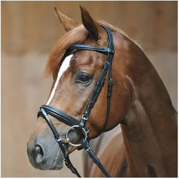 Kavalkade Schwedisch-kombinierte Trense Ravenna aus Leder in Schwarz für Warmblut – Bild 1 von 4
