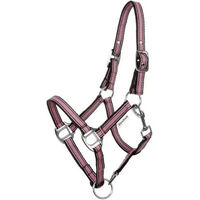 Produktbild von Kavalkade Shettyhalfter Shorty aus Polyester für Ponys