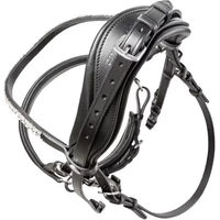 Produktbild von Kavalkade Sonya Anatomischer Trensenzaum aus Leder für Ponys