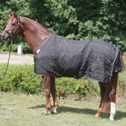 Produktbild von Kavalkade Stallion Chest Stalldecke für Pferde in Schwarz