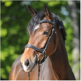 Kavalkade Trense Ivy Plus aus Leder mit Zügel Schwarz für Ponys – Bild 1 von 4