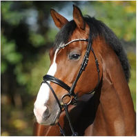 Produktbild von Kavalkade Trense Reyna KavalSH4 für Warmblut aus Leder in Schwarz inklusive Zügel