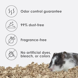 Kaytee Superpet Clean & Cozy Baumwolleinstreu für Nagetiere wie Hamster, Mäuse und Kaninchen, 49,2L - 49,2 l – Bild 1 von 5