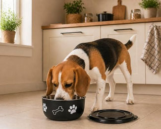 Kena Hundenapf mit Deckel aus Edelstahl Schwarz Silber Flamingo Größe M 800 ml - 0,8 l – Bild 1 von 5