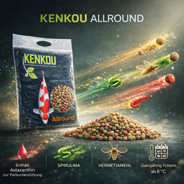 KENKOU Allround Koifutter Schwimm-Pellets für Goldfische und Kaltwasserfische 5kg - 5 kg – Bild 1 von 11