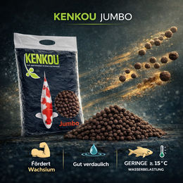 KENKOU Jumbo Koifutter Wachstumsfutter für Fische 5kg 6mm schwimmend - 5 kg – Bild 1 von 10