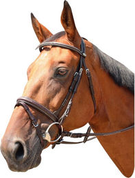 KenTaur Marysville Englischer Trensenzaum aus Leder in Braun mit Goldbeschlag für Warmblut – Bild 1 von 1
