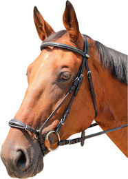 KenTaur Trense mit Hannoveranischem Reithalfter aus Leder für Warmblut Pferde verstellbar – Bild 1 von 1