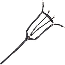 Produktbild von KenTaur Vorderzeug Arras aus Leder in Schwarz für Vollblut Pferde