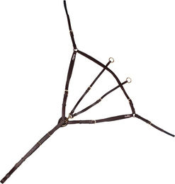 Produktbild von Kentaur Vorderzeug Mons aus Leder für Warmblut Pferde in Schwarz oder Braun