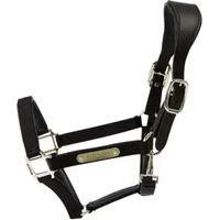 Produktbild von Kentucky Anatomisches Nylon Stallhalfter Schwarz Größe Cob