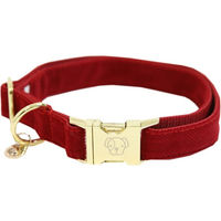 Produktbild von Kentucky Dogwear Corduroy Hundehalsband Rot Größe XS