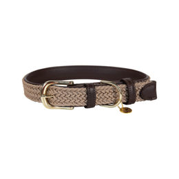 Kentucky Dogwear Geflochtenes Nylon-Halsband für Hunde XS Blau – Bild 1 von 9