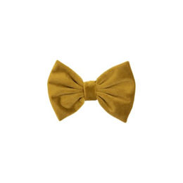 Kentucky Dogwear Halstuch Fliege für Hunde aus Velours in Senfgelb Größe L – Bild 1 von 2