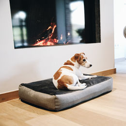 Kentucky Dogwear Hundebett Soft Pillow Grau Größe M – Bild 1 von 11