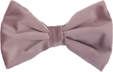 Produktbild von Kentucky Dogwear Hundefliege aus Velours in Smaragdgrün Größe L